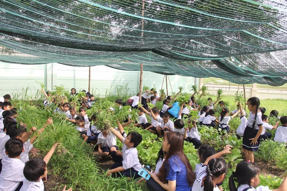 Thích thú khoe sản phẩm vào mùa thu hoạch